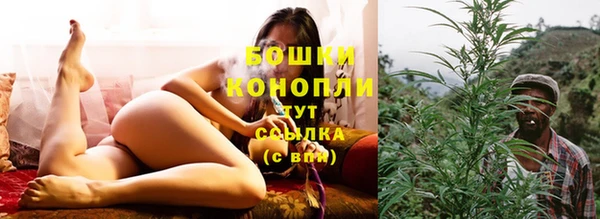 мяу мяу мука Беломорск