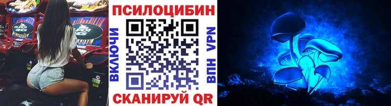 Галлюциногенные грибы Cubensis  Купить закладки  Вичуга 